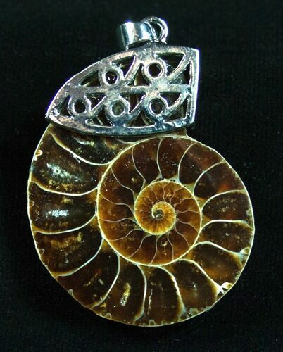 Ammonite Pendant #4272
